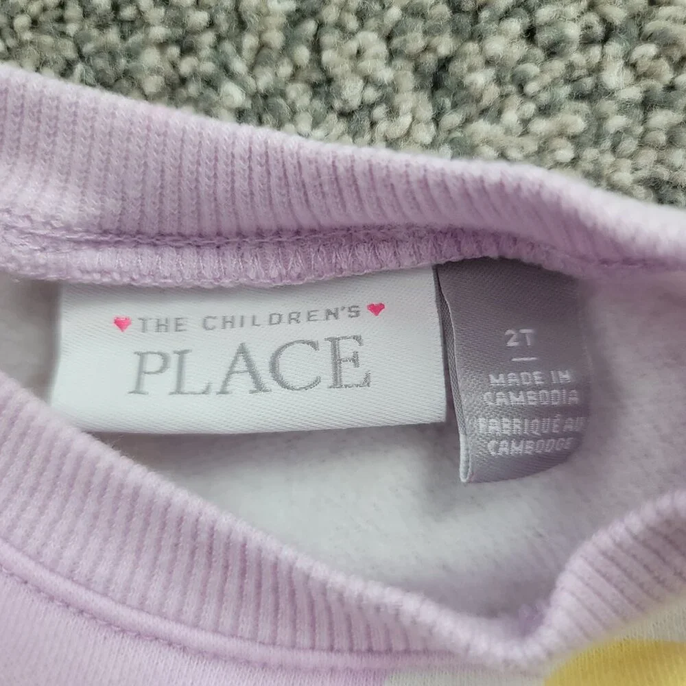 Children's Place Purple Sweatshirt with Daisy's 2T, Pre- Owned , Gently worn